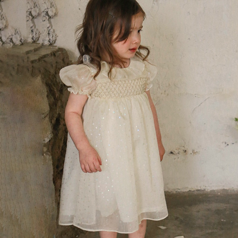 Princess Dress for Baby Girls Kids Smocked Hand Made Dresses