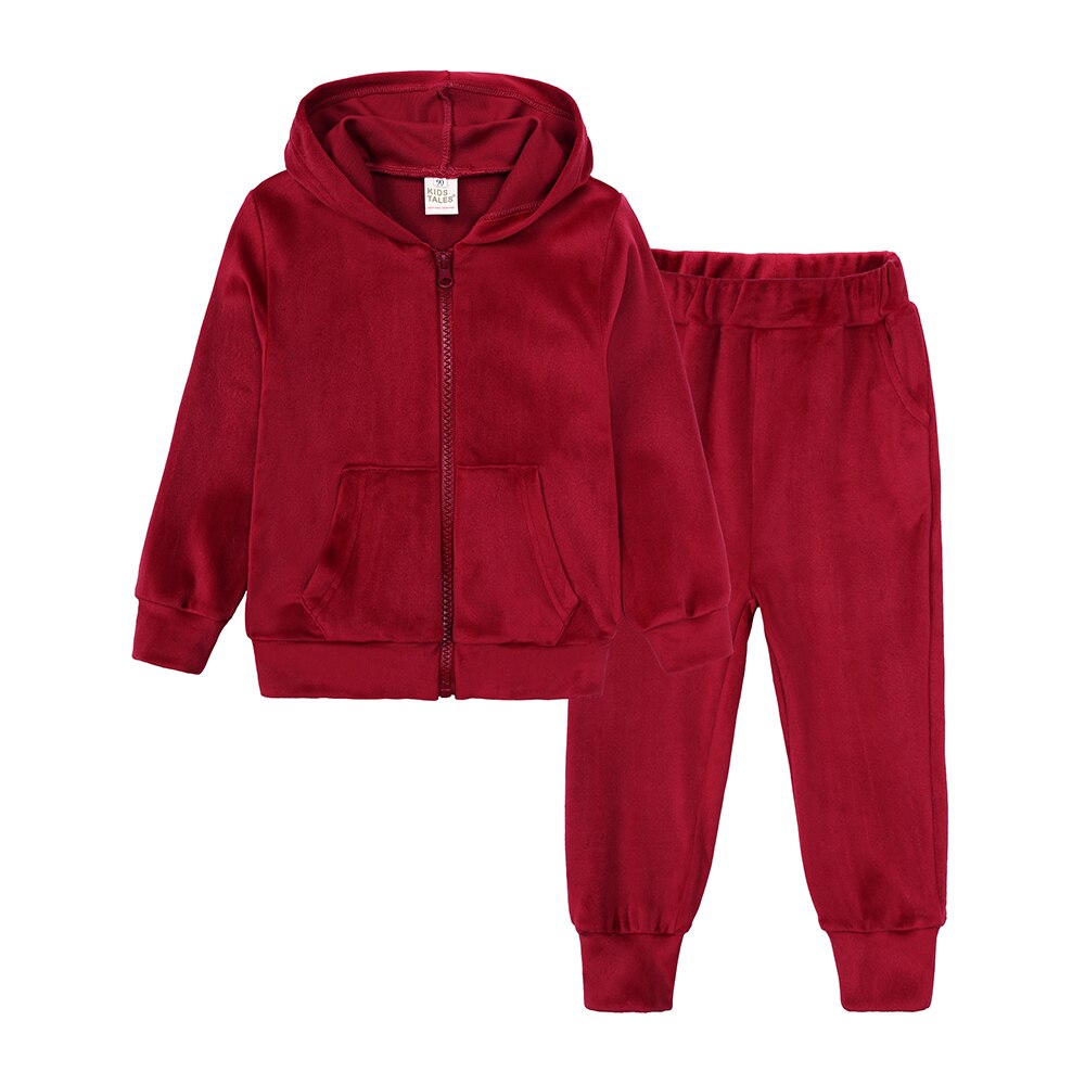 Kids Baby Girls Winter Velvet Outfits Todder Hooded Sweatshirts+Jogger Pants Tracksuit